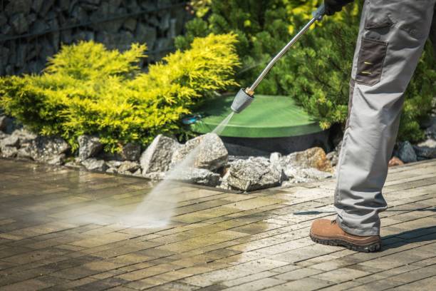 Pre-Holiday Cleaning in Shoreline, WA