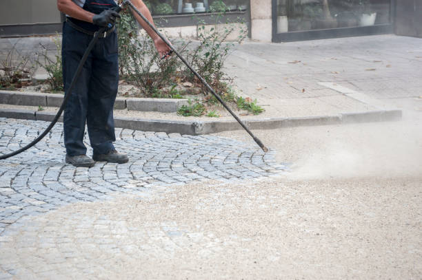 Best Boat and Dock Cleaning  in Shoreline, WA